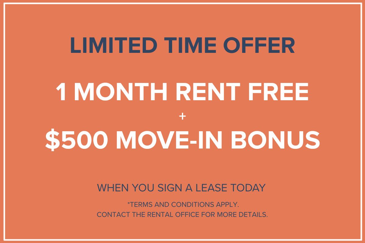 Special Offer