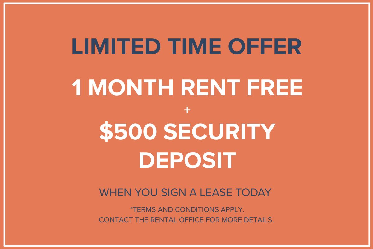 Special Offer