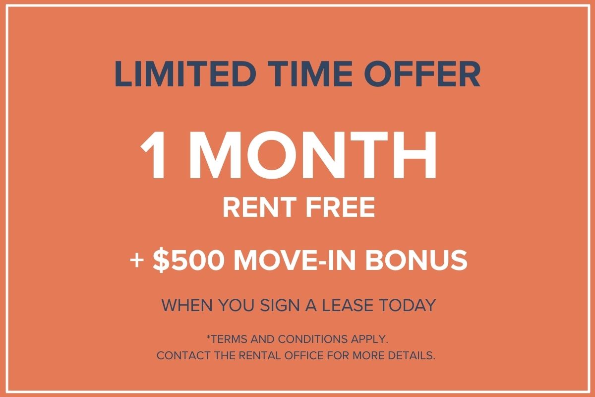 Limited Time Offer!