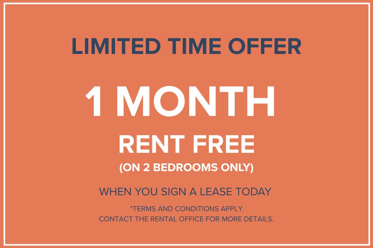 Special Offer