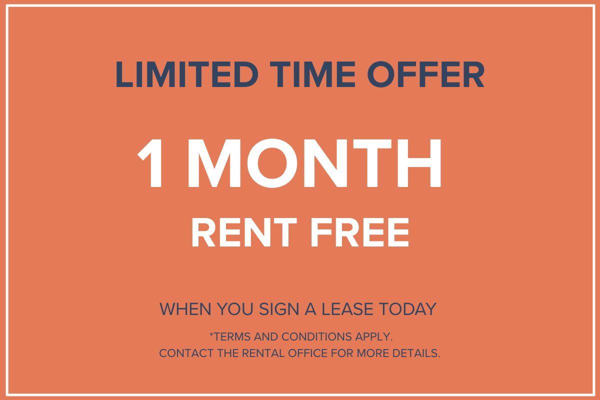 Limited time offer