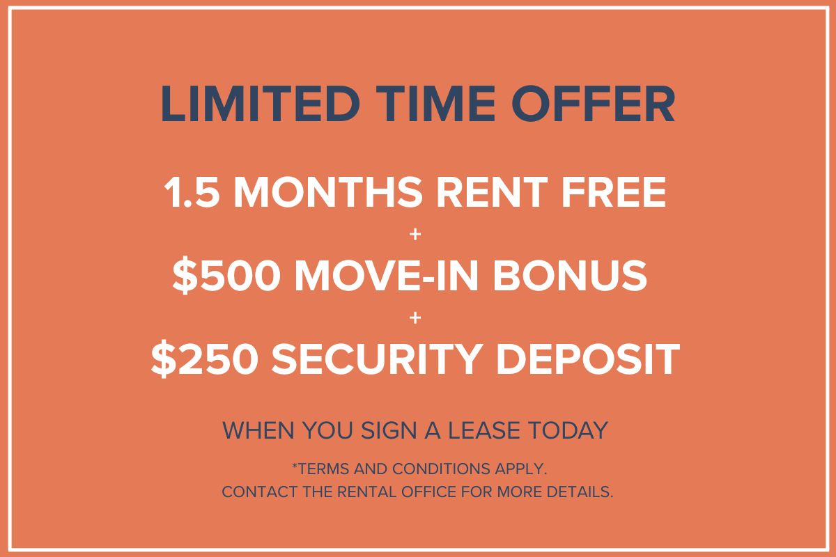 The Nines - Special Offer