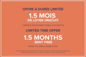 Appartements Place Cavendish