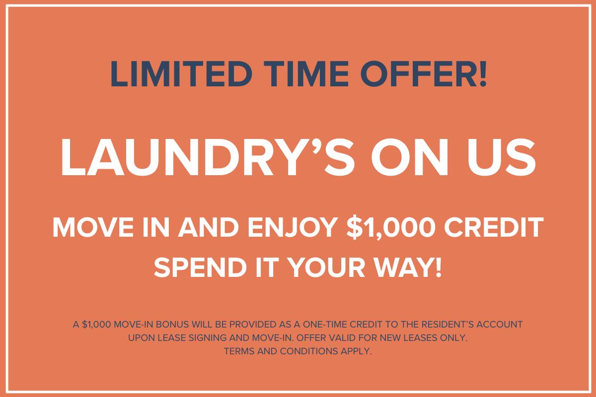 $1000 worth of free laundry