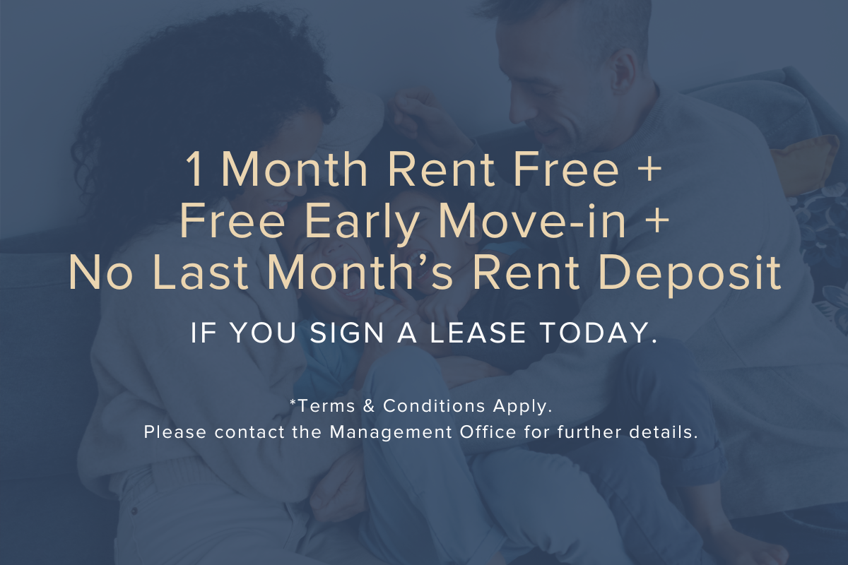 Limited Time Offer!