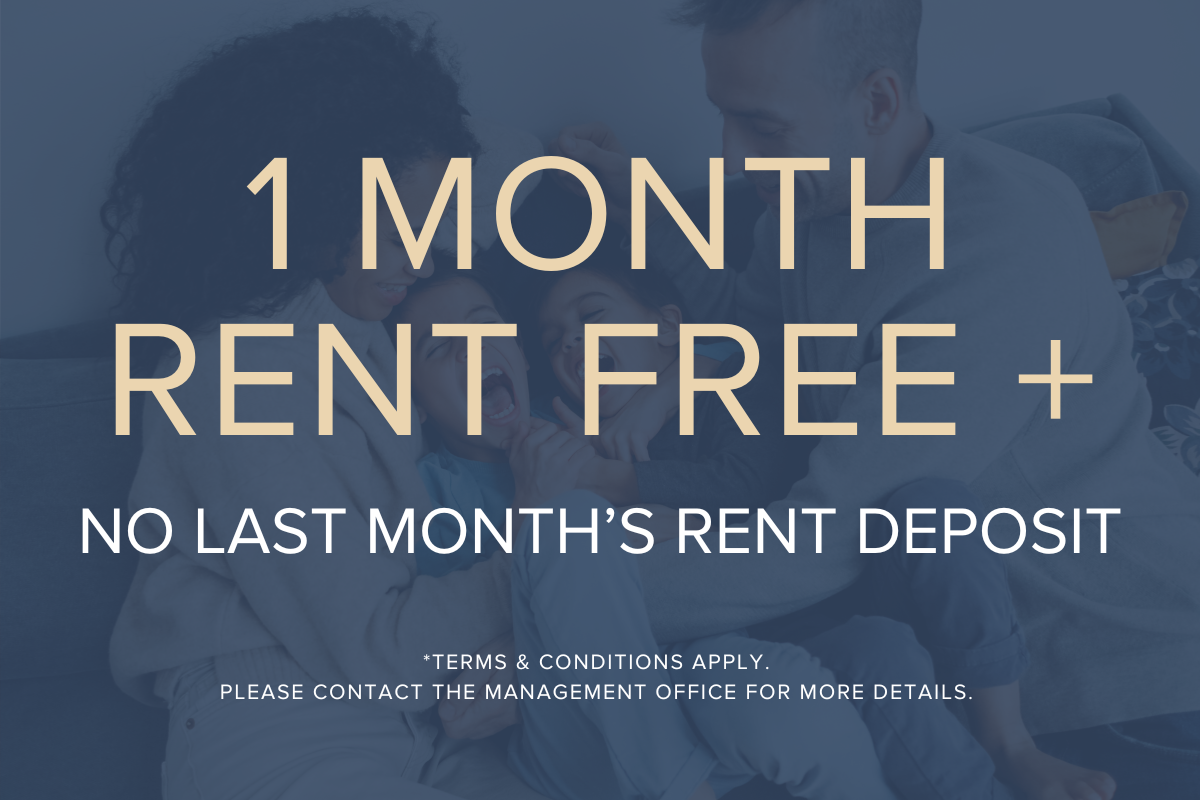 Limited Time Offer!