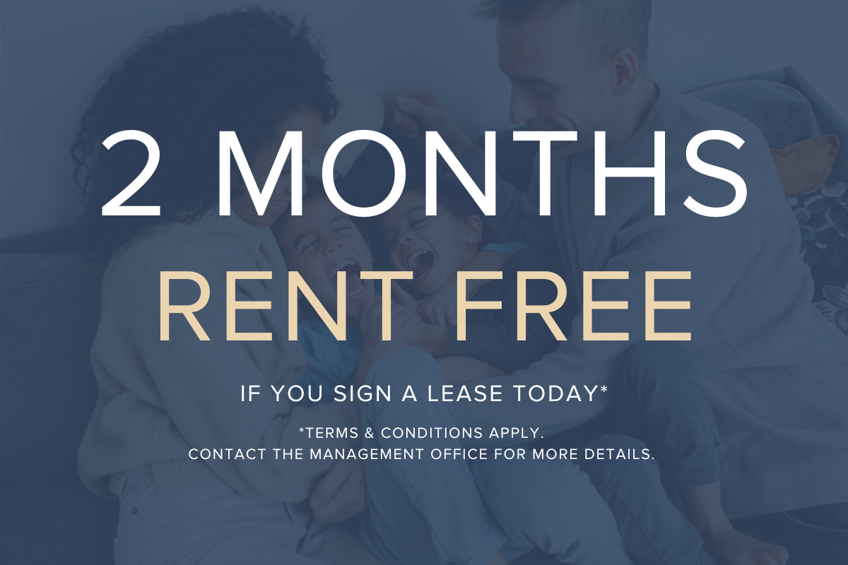 Limited Time Offer!