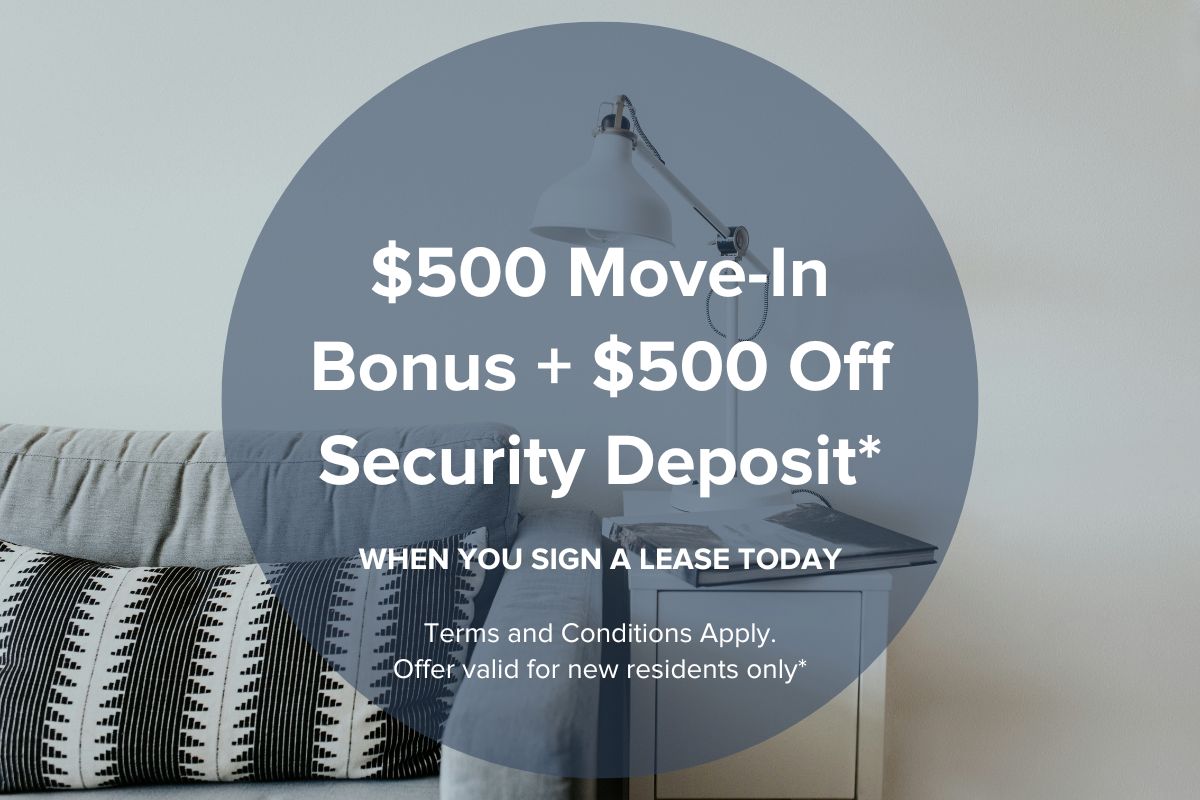 Special Offer