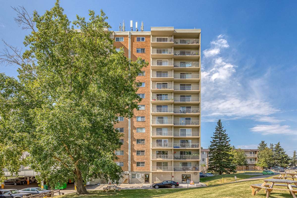 Apartments For Rent Near 33612