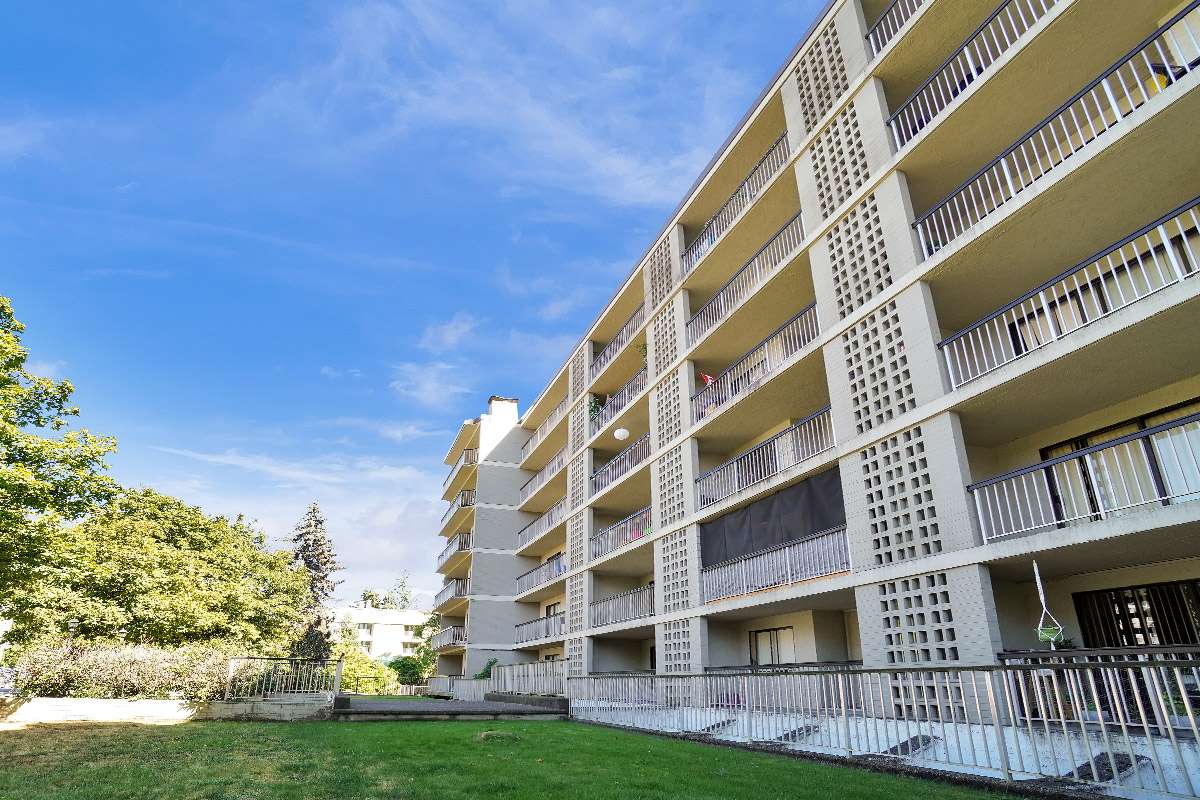 Bachelor available at 544 Sydney Avenue, Coquitlam 4