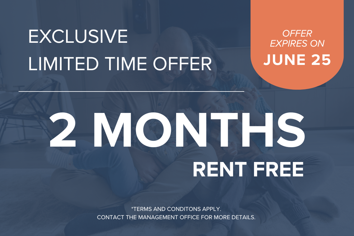 Limited Time Offer!