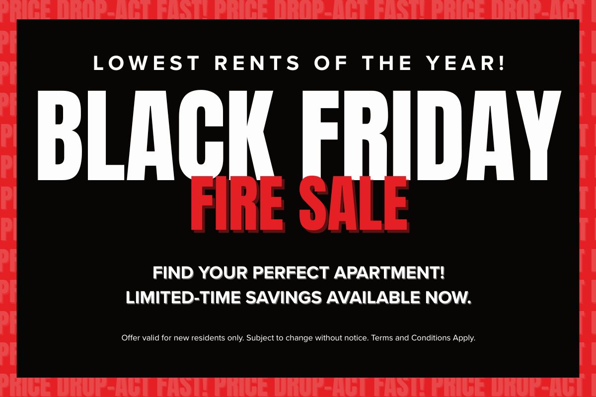 Pentland Place - Black Friday Fire Sale