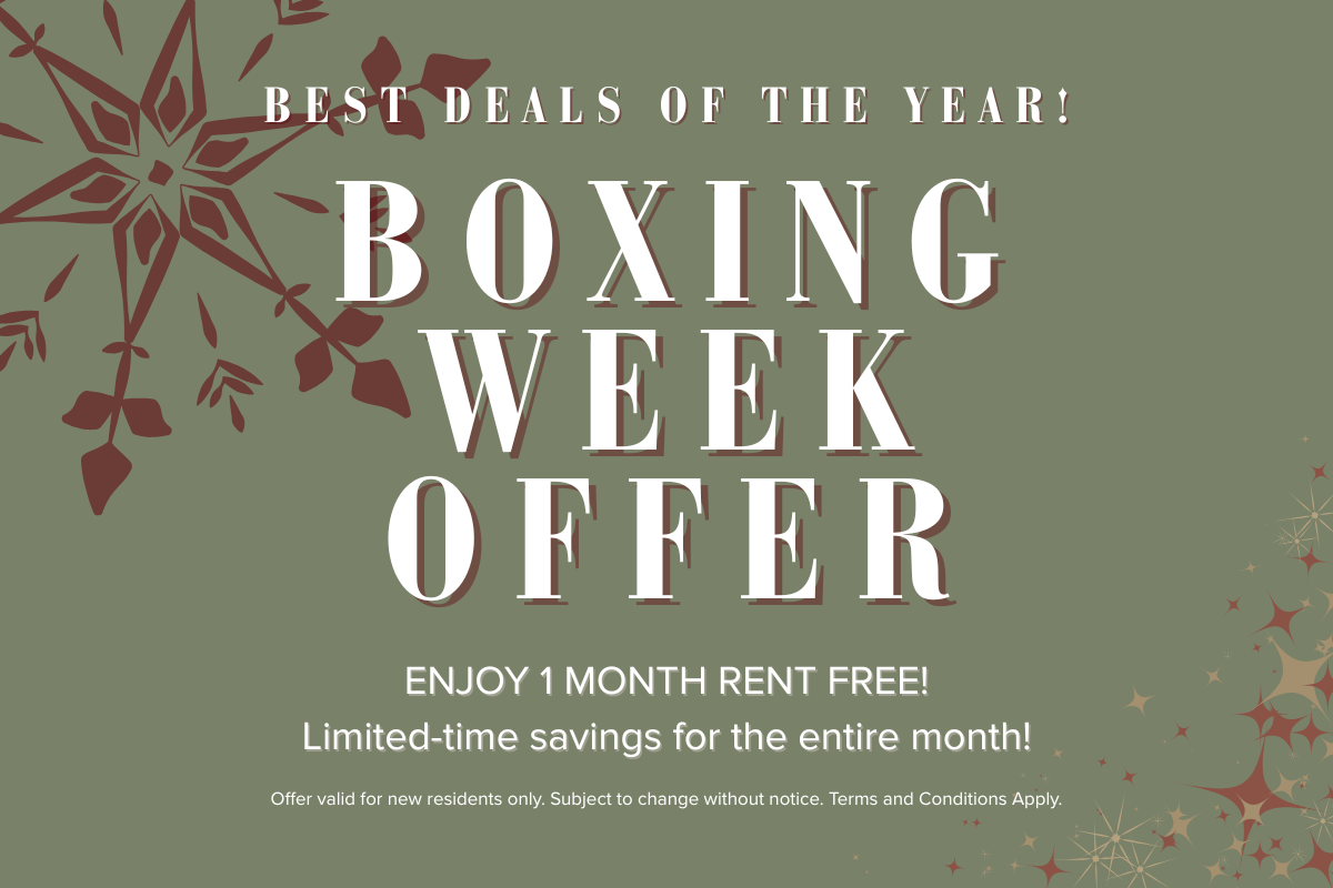Boxing Week Offer!