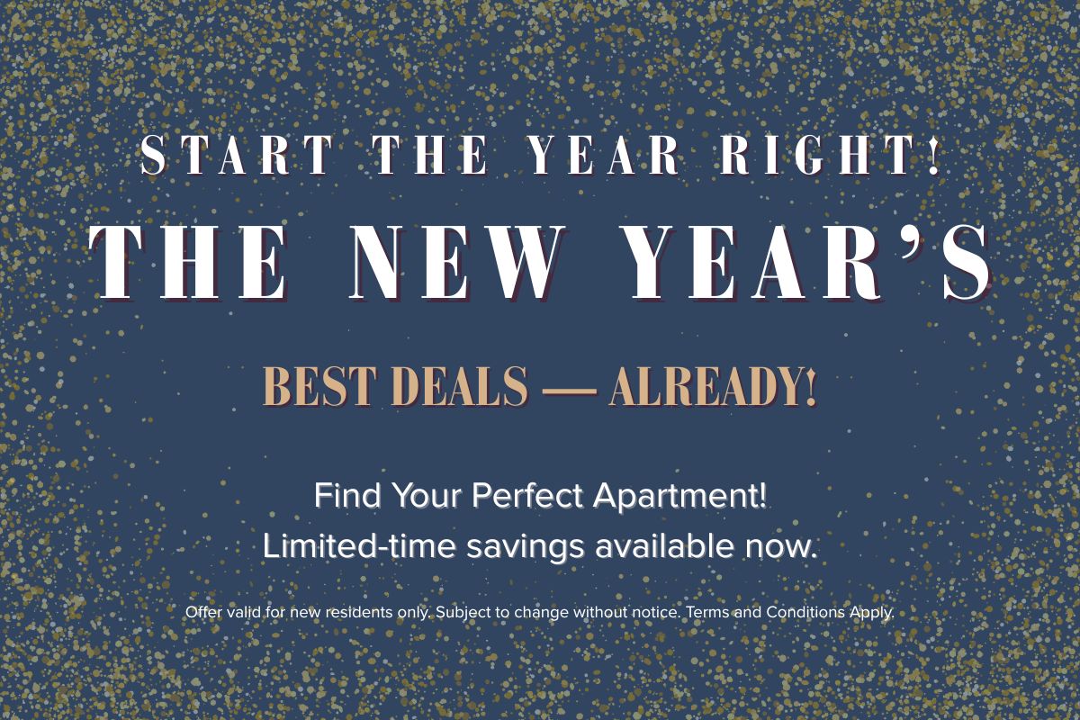 New Year Exclusive Offer!