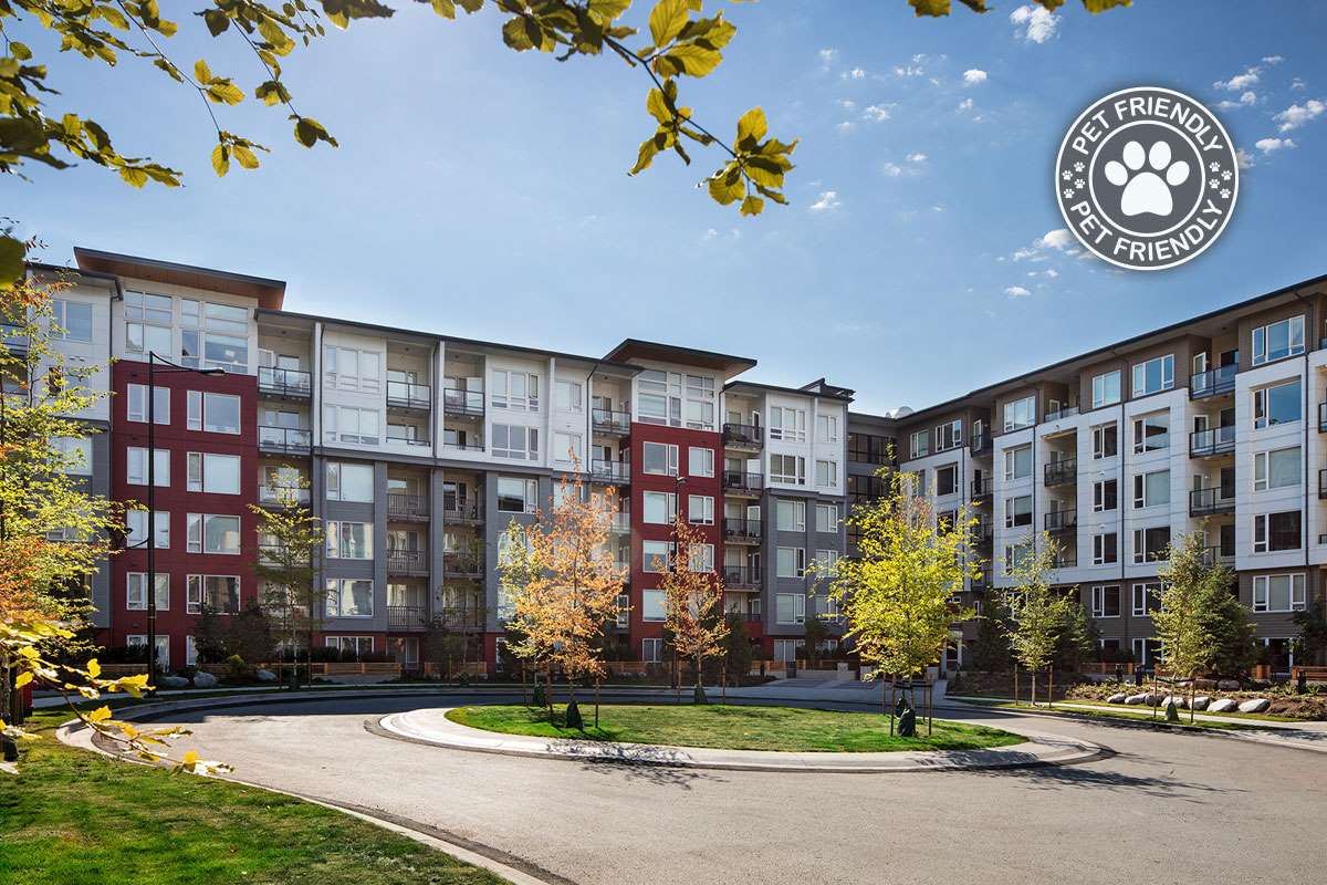 https://www.capreit.ca/wp-content/uploads/2021/09/Fraser-Flats-Pet-Friendly.jpg