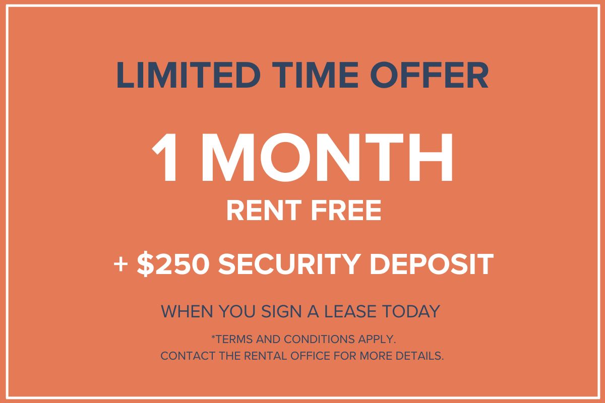 Lakeview Pointe - Special Offer