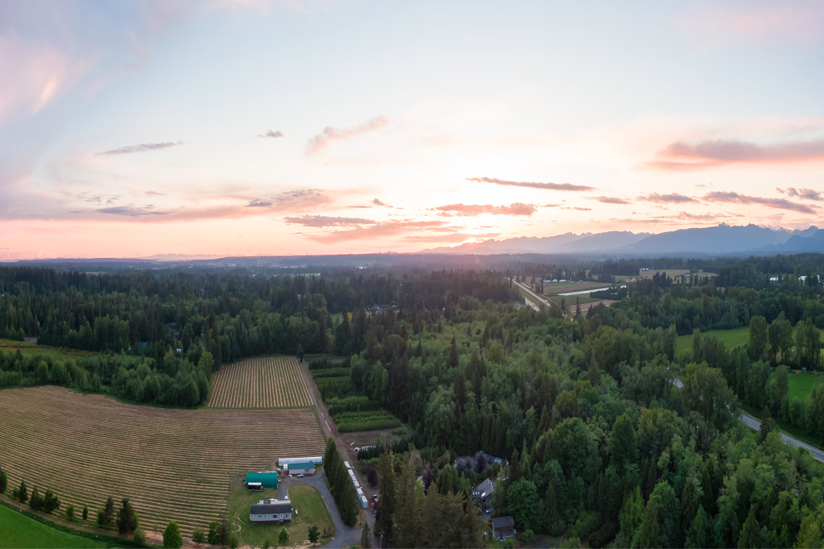 Langley BC - from the air