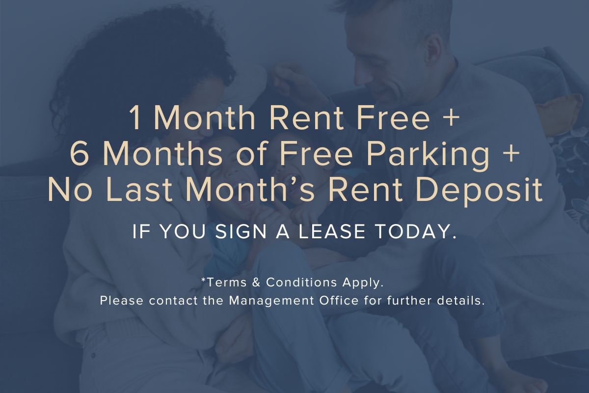 Limited Time Offer!