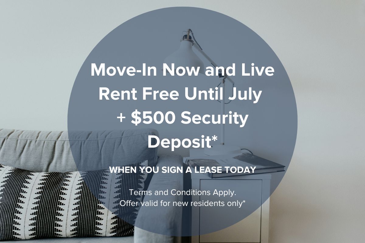 Special Offer