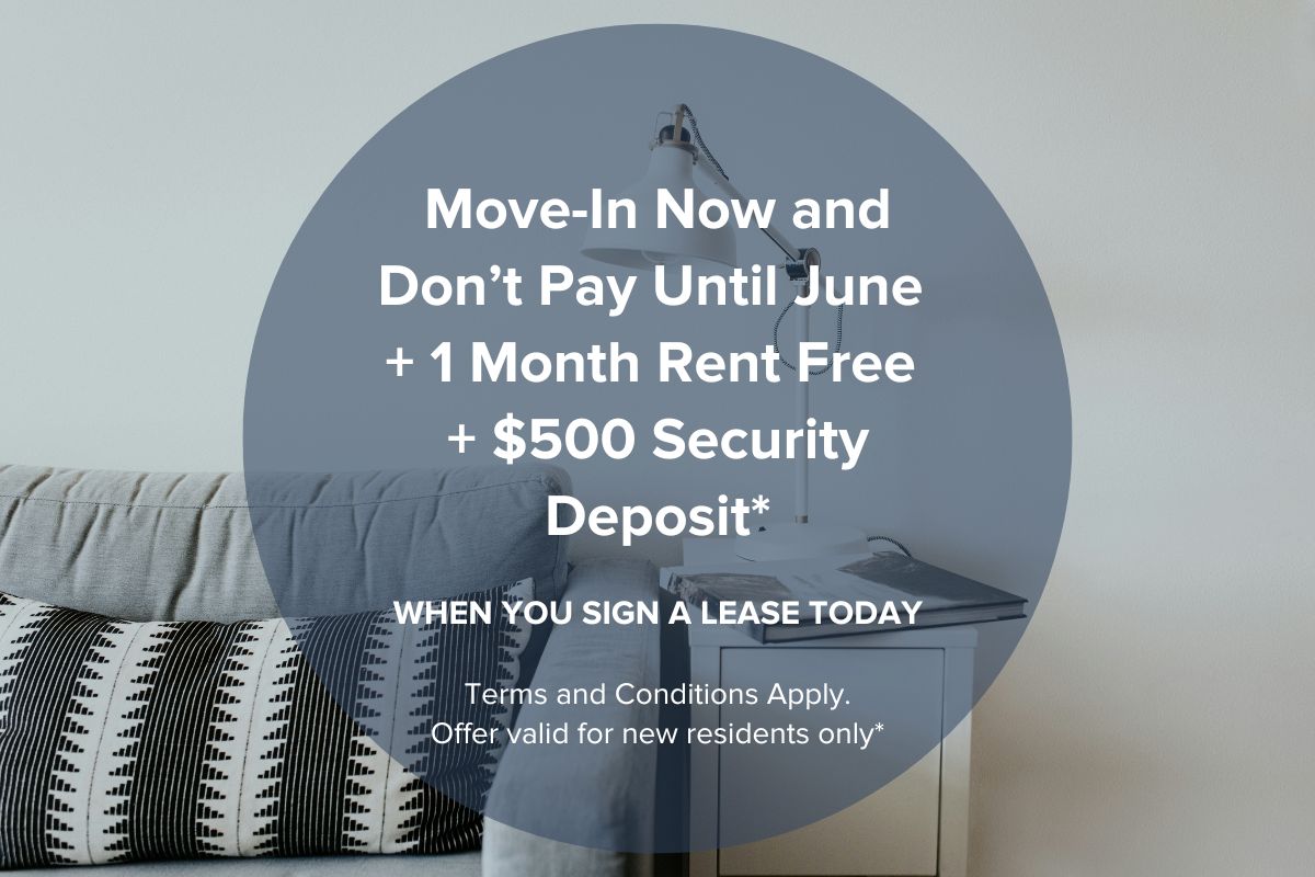 Special Offer