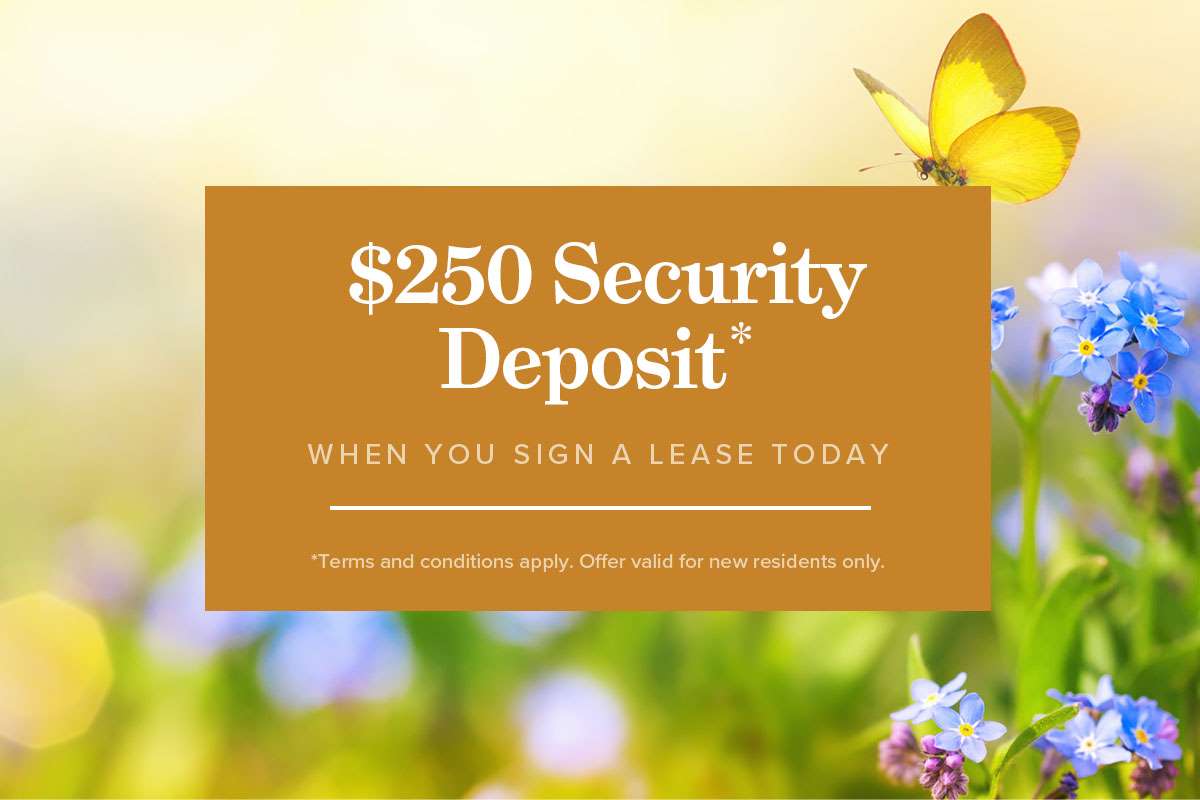 Holly Acres Apartments Apartment For Rent CAPREIT