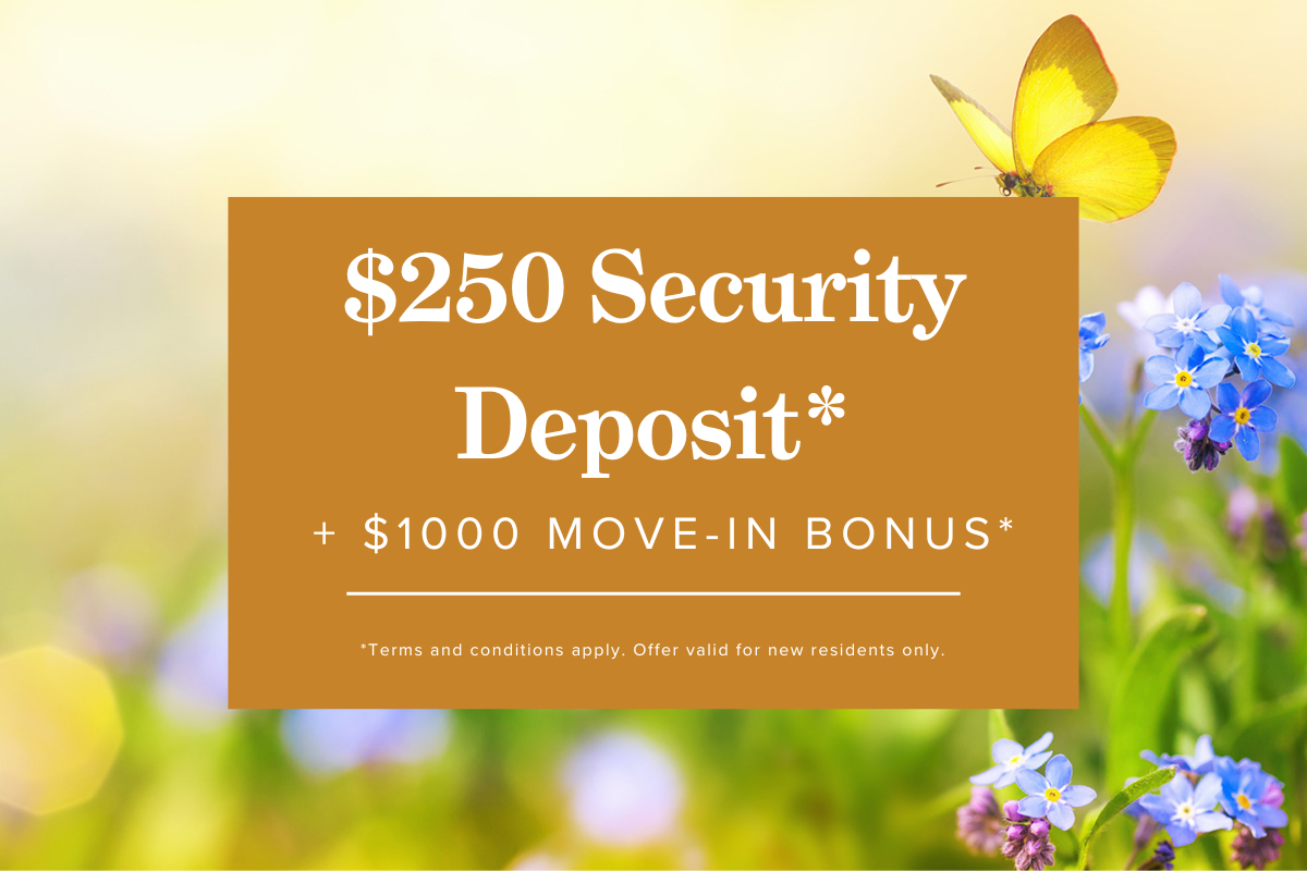 Apartments Apartment For Rent CAPREIT