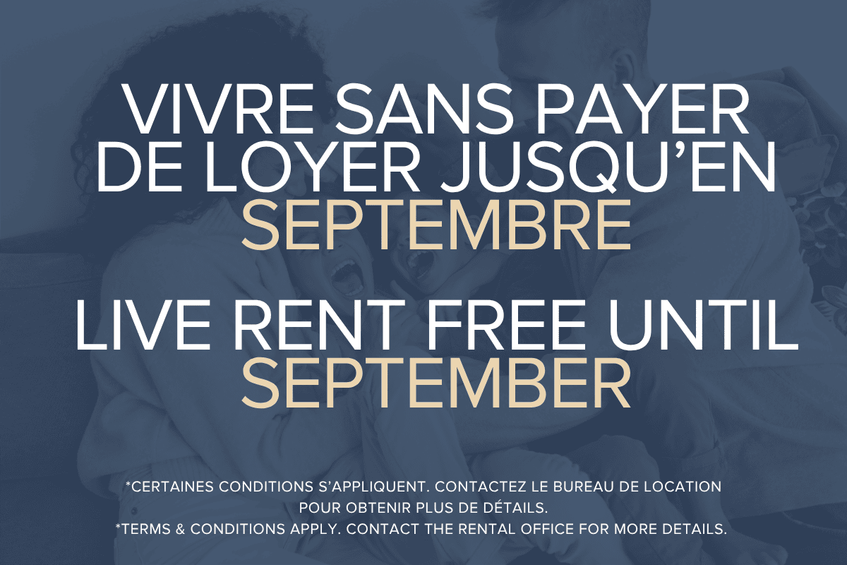 Dominik - Vivre sans payer de loyer jusqu'en septembre