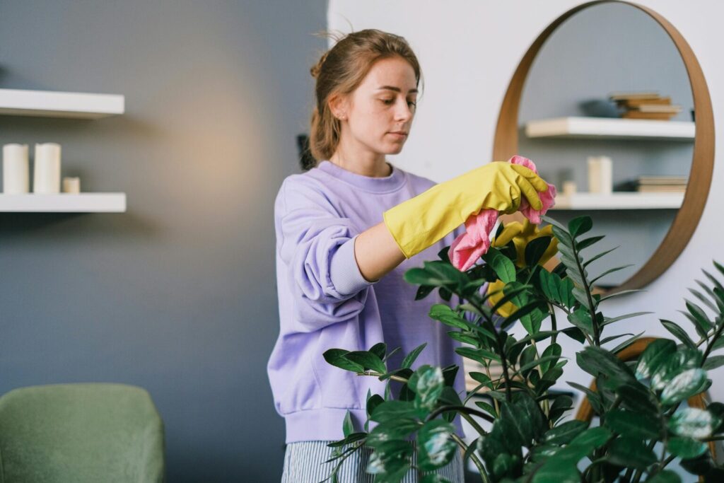 Person in a purple sweatshirt and yellow rubber gloves cleaning houseplant leaves with a pink cloth. Background features gray walls, white floating shelves with books and candles, and a round mirror in a modern interior.