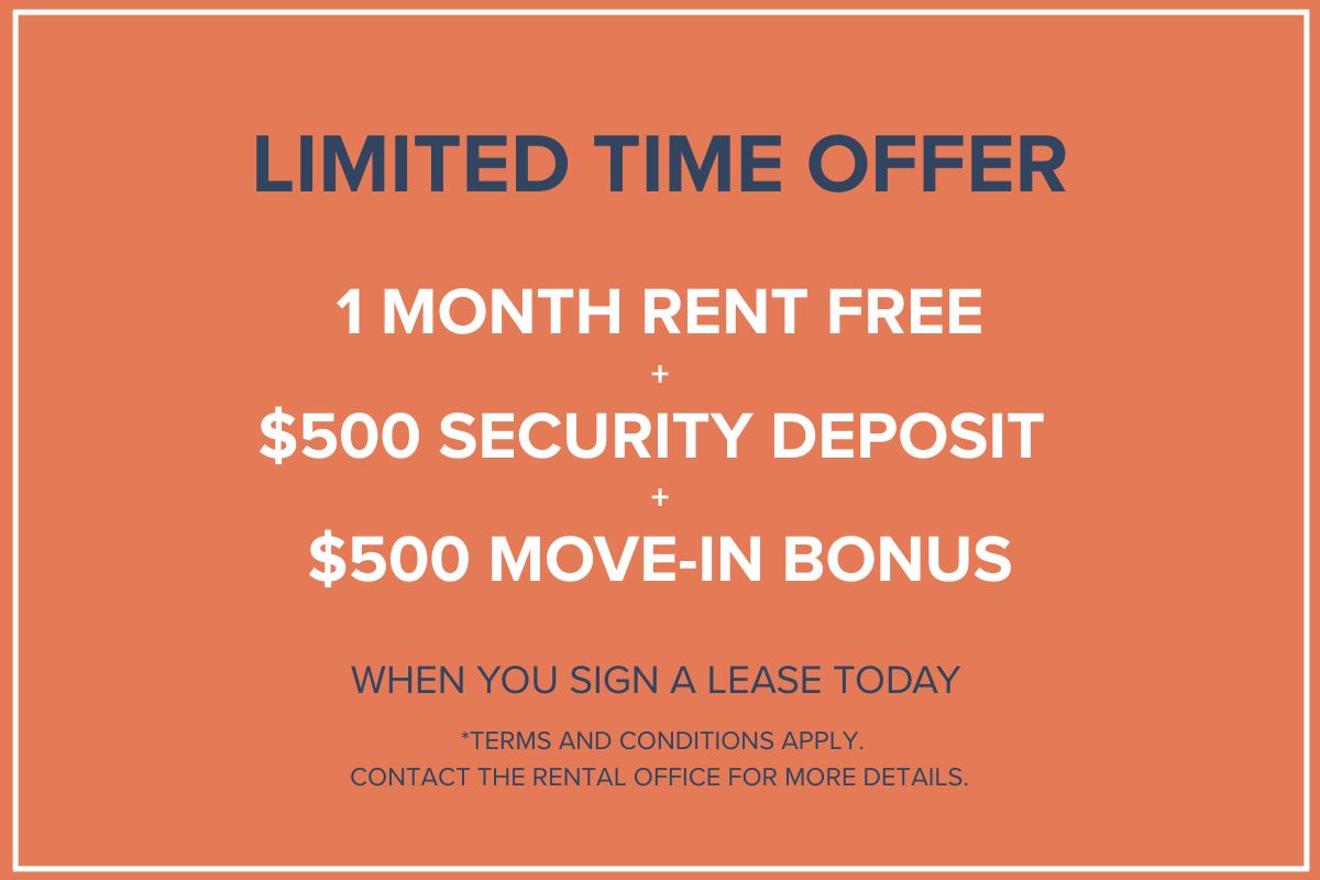 Special Offers