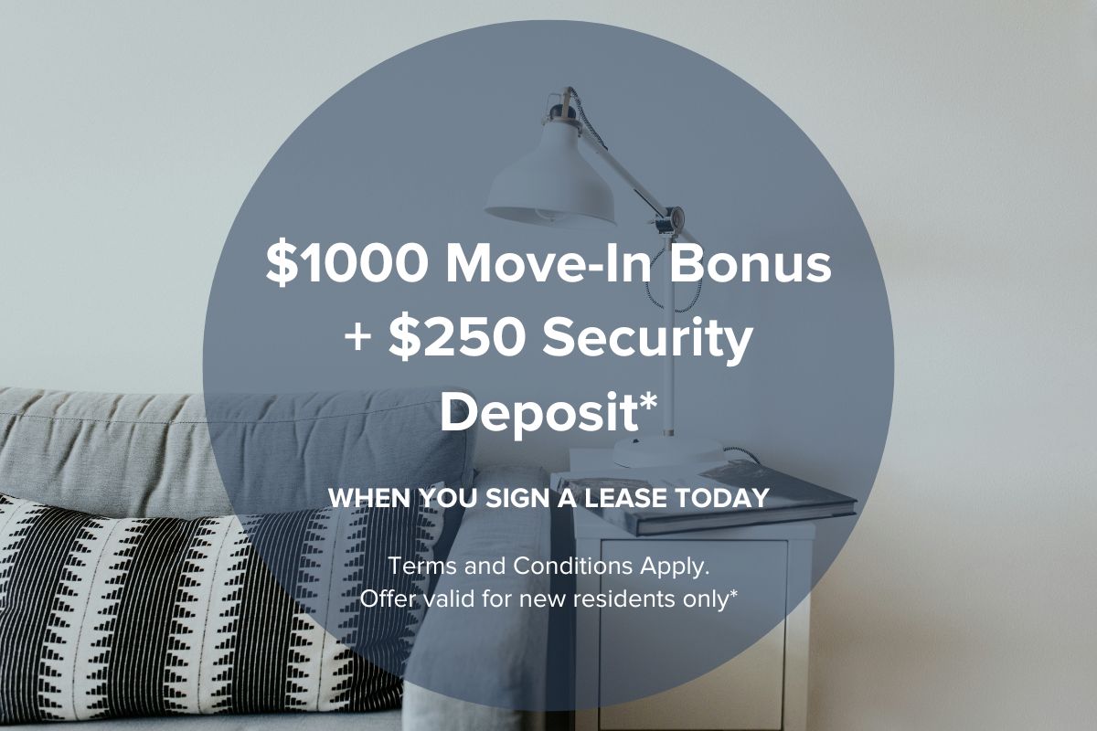 Special Offer