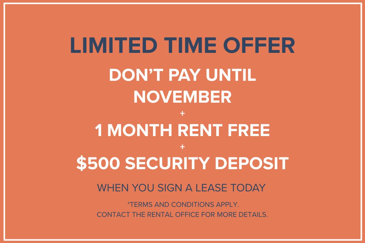 Dolphin Square Apartments - Incentive