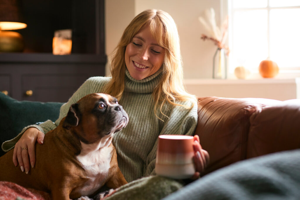 A person sitting on a cozy couch with a dog on their lap, holding a warm beverage. The scene is set in a warmly lit room with autumn decorations, including pumpkins and dried flowers.