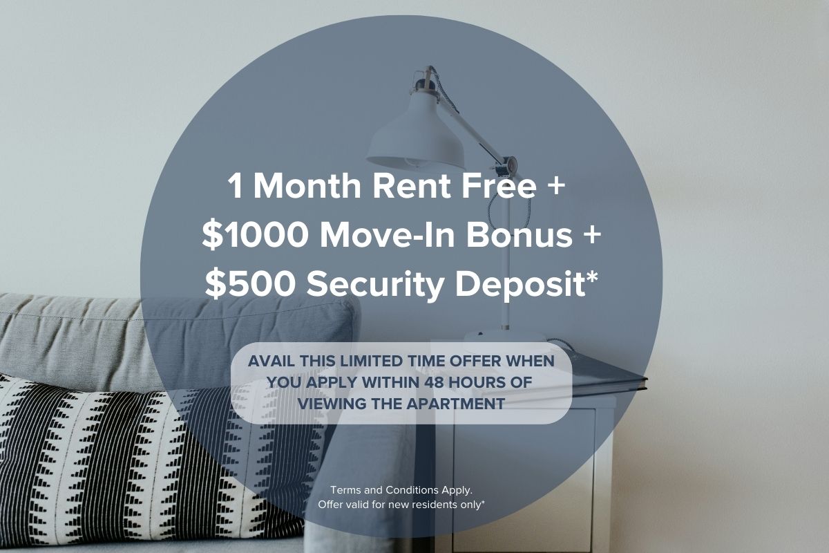 Axir - North Vancouver - Incentive