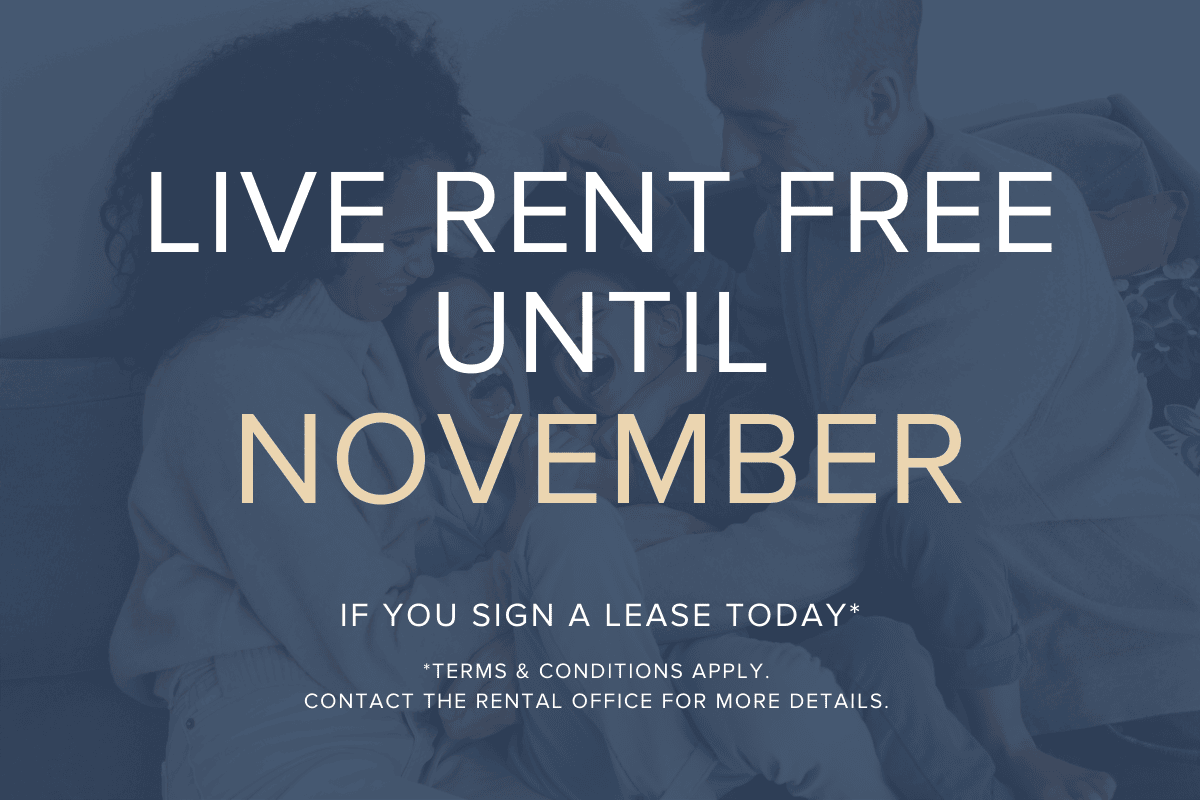 Limited Time Offer!