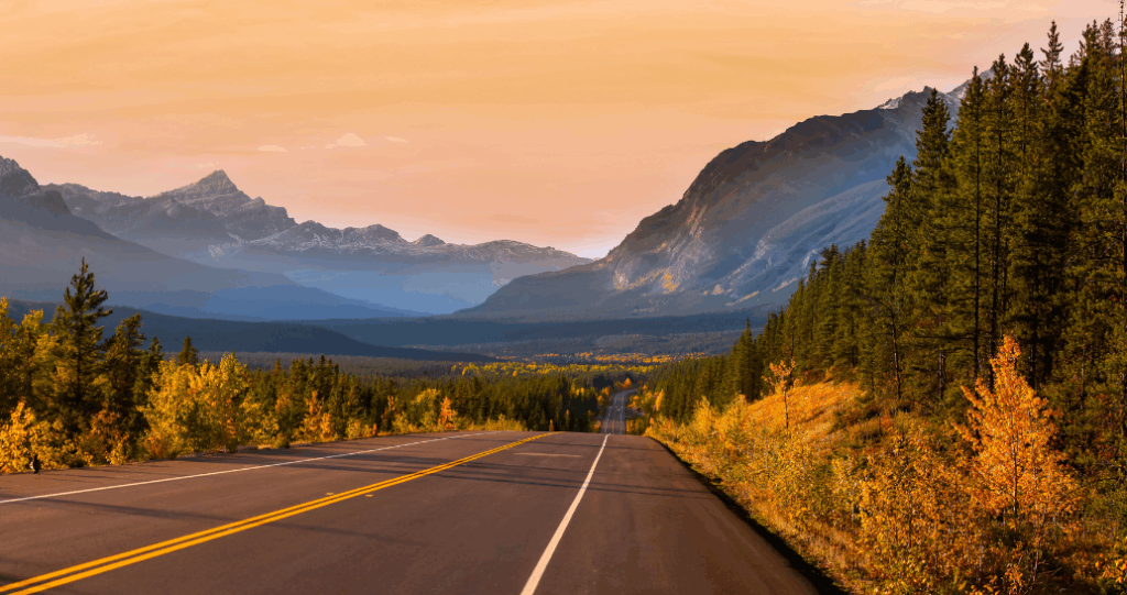A winding highway along the Icefields Parkway surrounded by golden autumn foliage, dense evergreen forests, and towering Rocky Mountains under a warm twilight sky in Jasper National Park, Canada.
