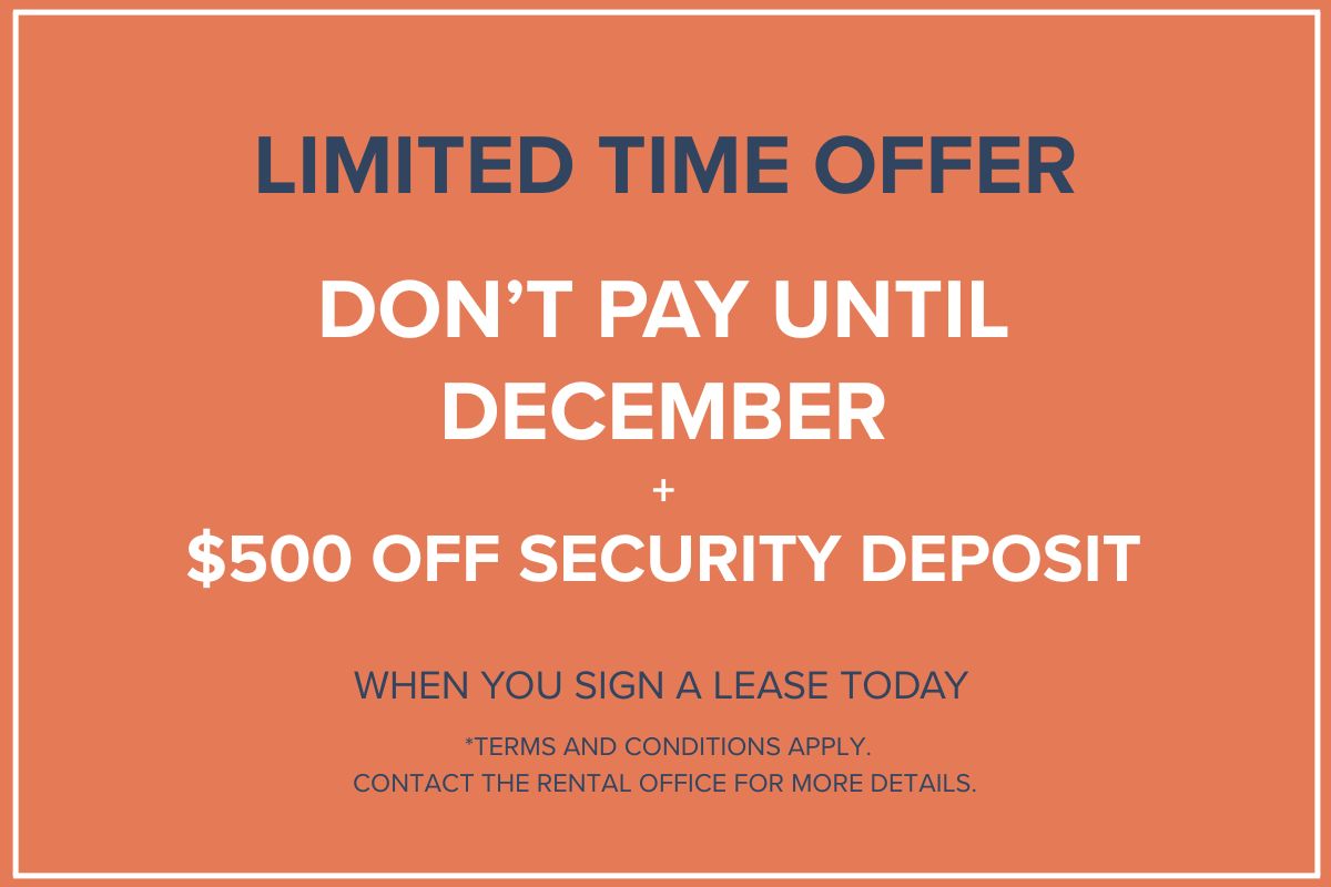 Infiniti 105 - Incentive