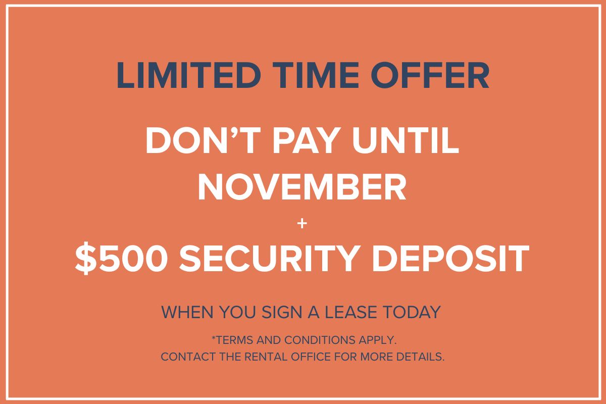 St. Johns Apartment - Special Offer