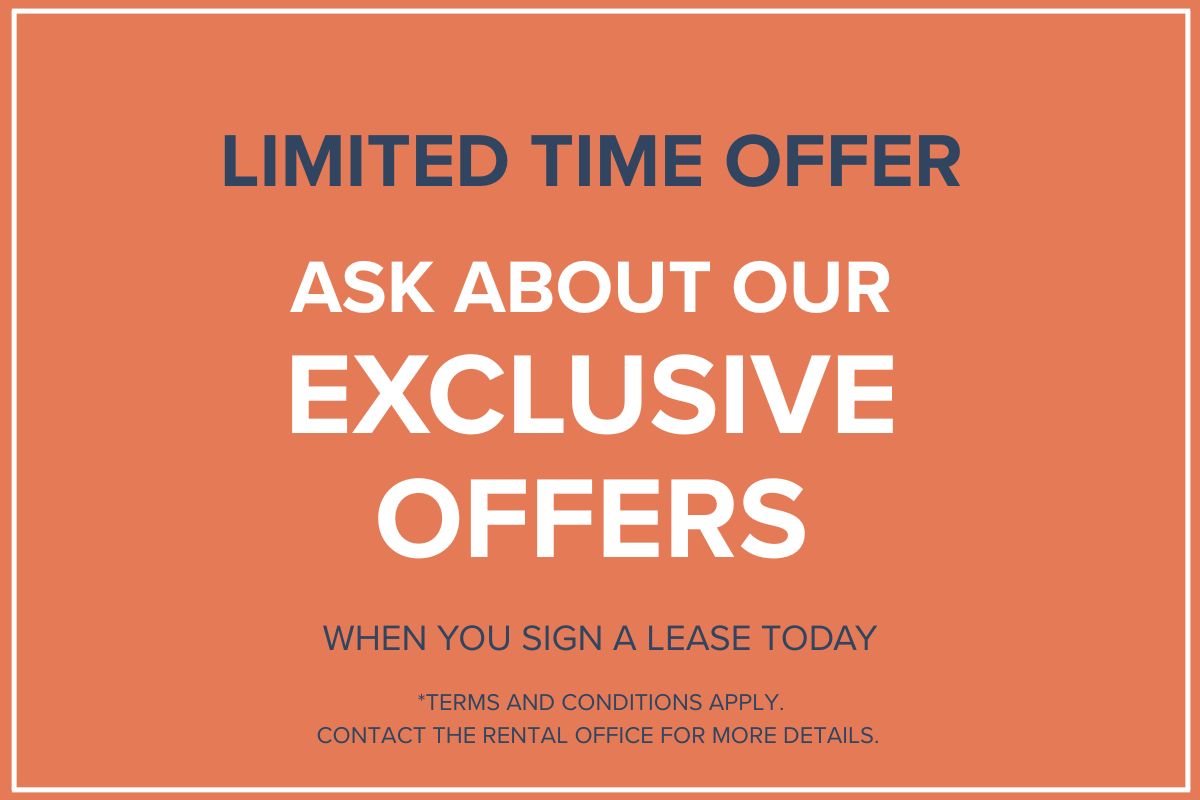 Special Offer