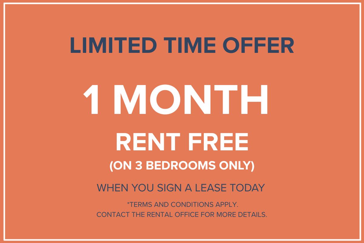 Limited time offer!