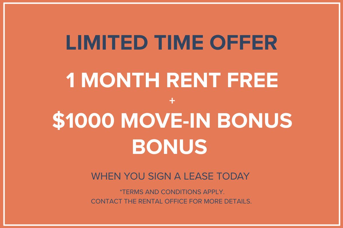 Nell's Place - Incentive