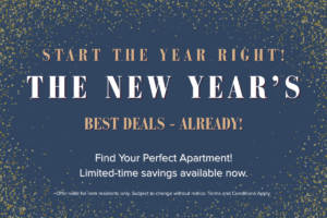 Yonge Eglinton Apartments – Duplex