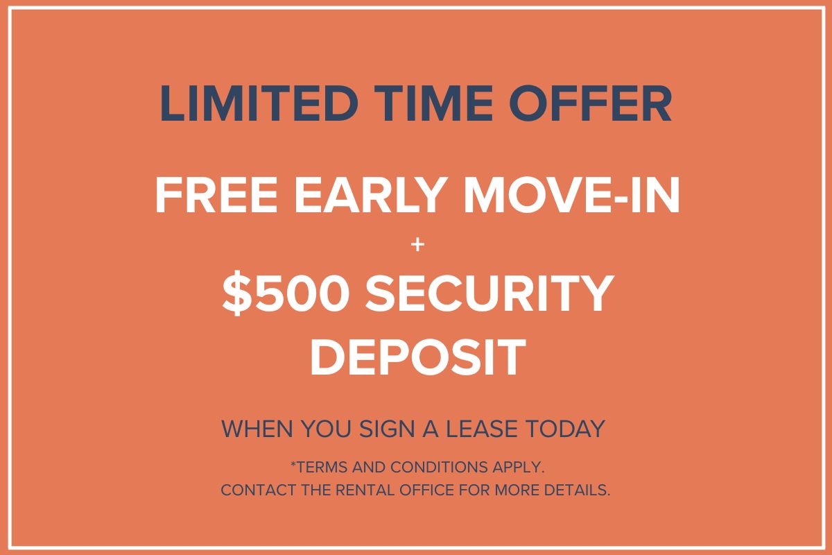 Limited time offer